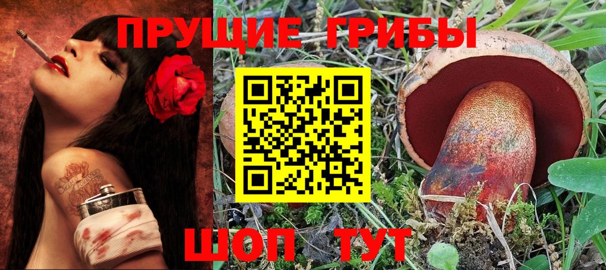 Галлюциногенные грибы прущие грибы Сафоново